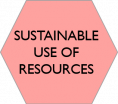 use of resources